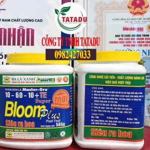 BLOOM PLUS BA LA XANH