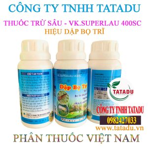 DAP BO TRI 1