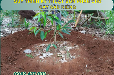 QUY TRÌNH KỸ THUẬT BÓN PHÂN CHO CÂY SẦU RIÊNG – CÔNG TY TNHH TATADU