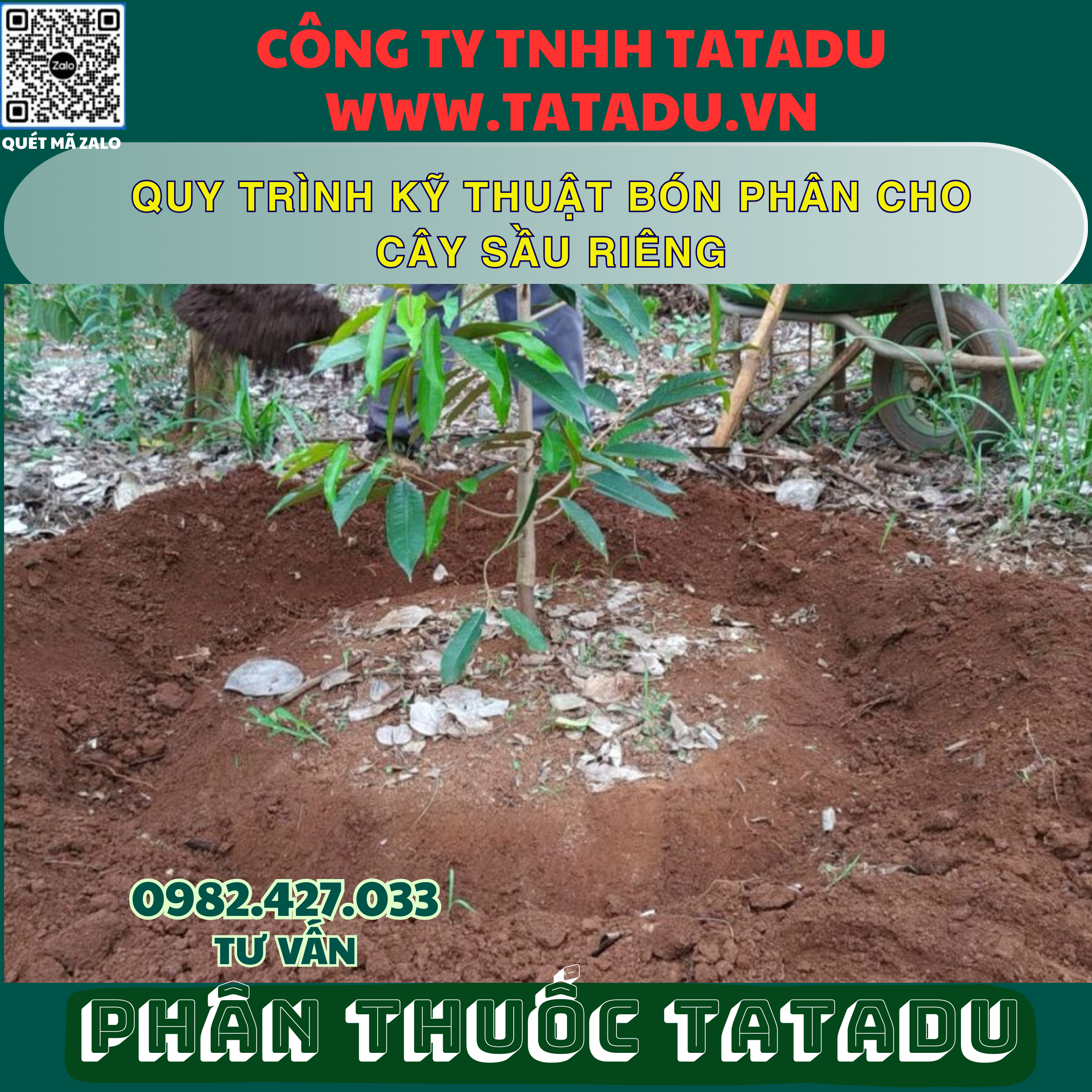 QUY TRINH KY THUAT BON PHAN CHO CAY SAU RIENG