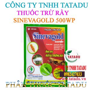 SINEVAGOLD 500WP LOOKSUN