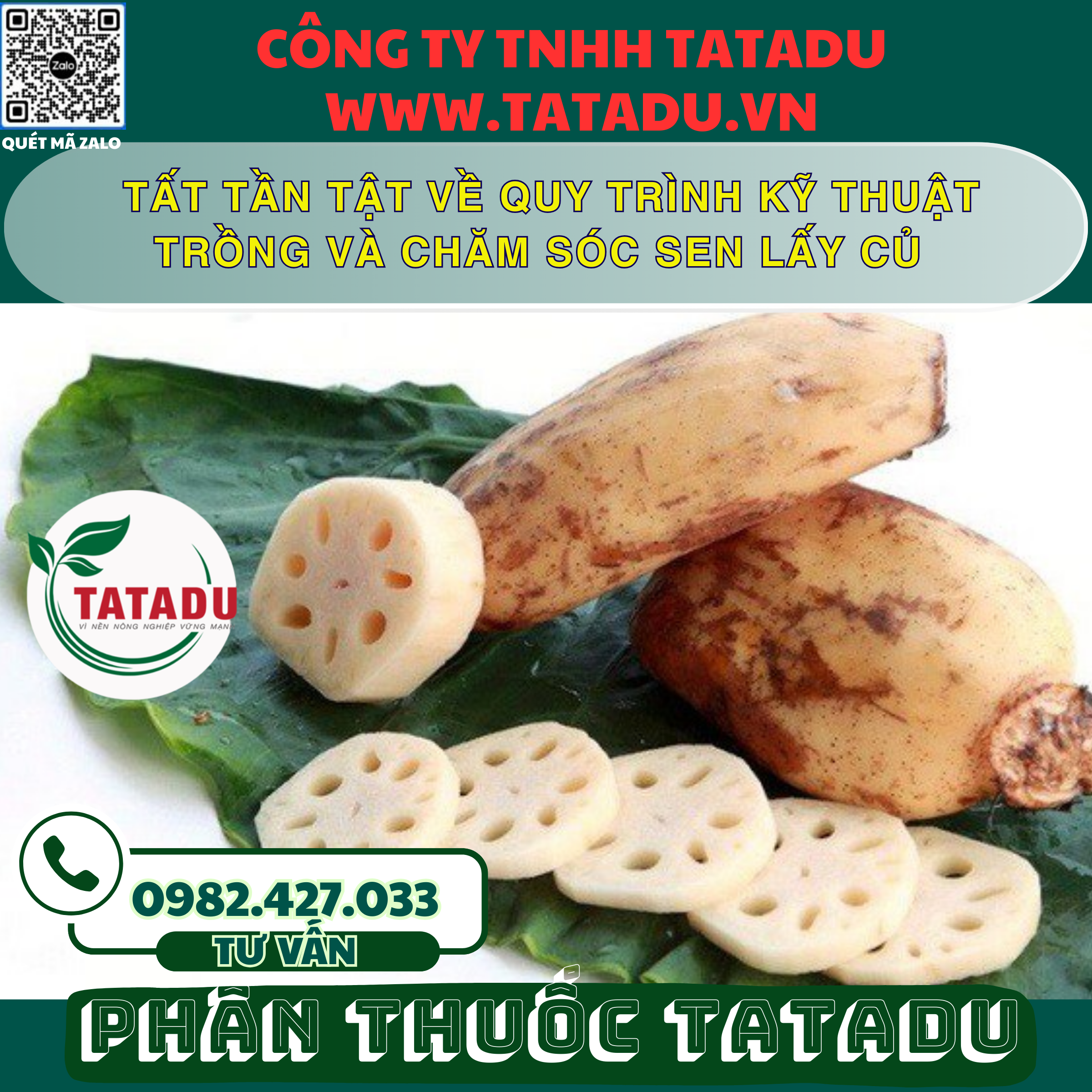 TAT TAN TAT VE QUY TRINH KY THUAT TRONG VA CHAM SOC SEN LAY CU