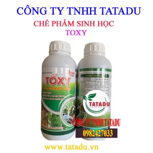 TOXY