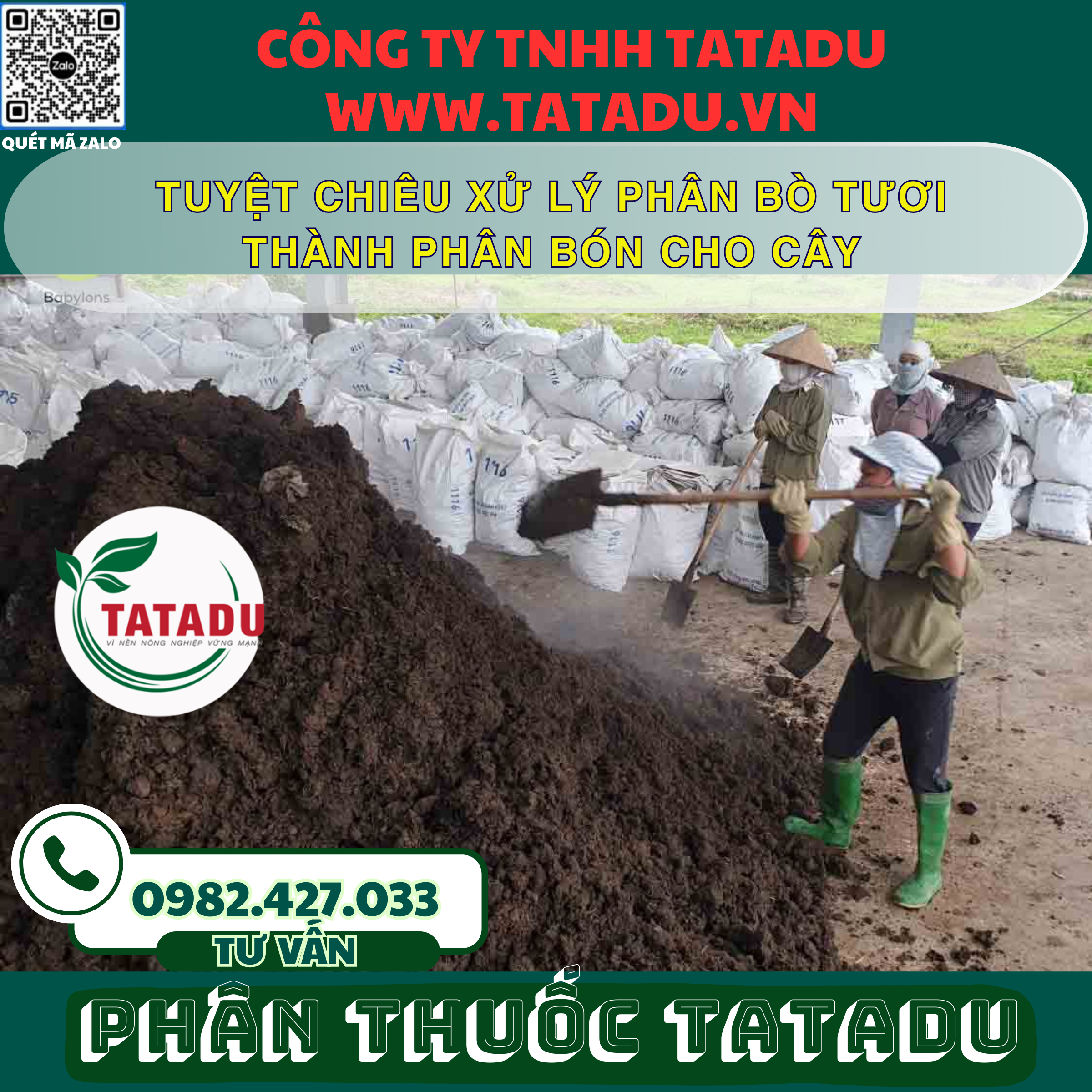 TUYET CHIEU XU LY PHAN BO TUOI THANH PHAN BON CHO CAY
