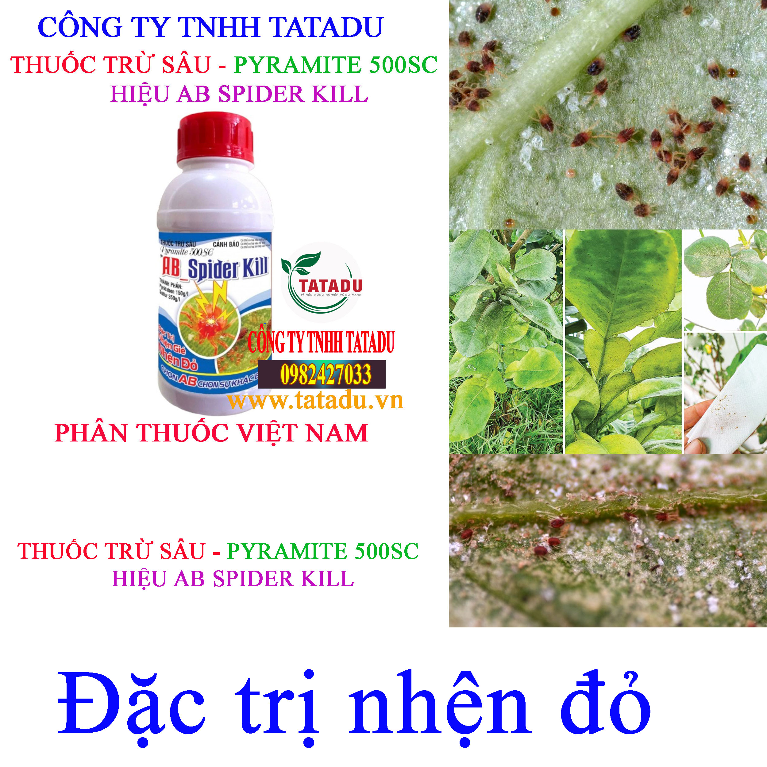 AB SPIDER KILL nhen do AB SPIDER KILL nhen do
