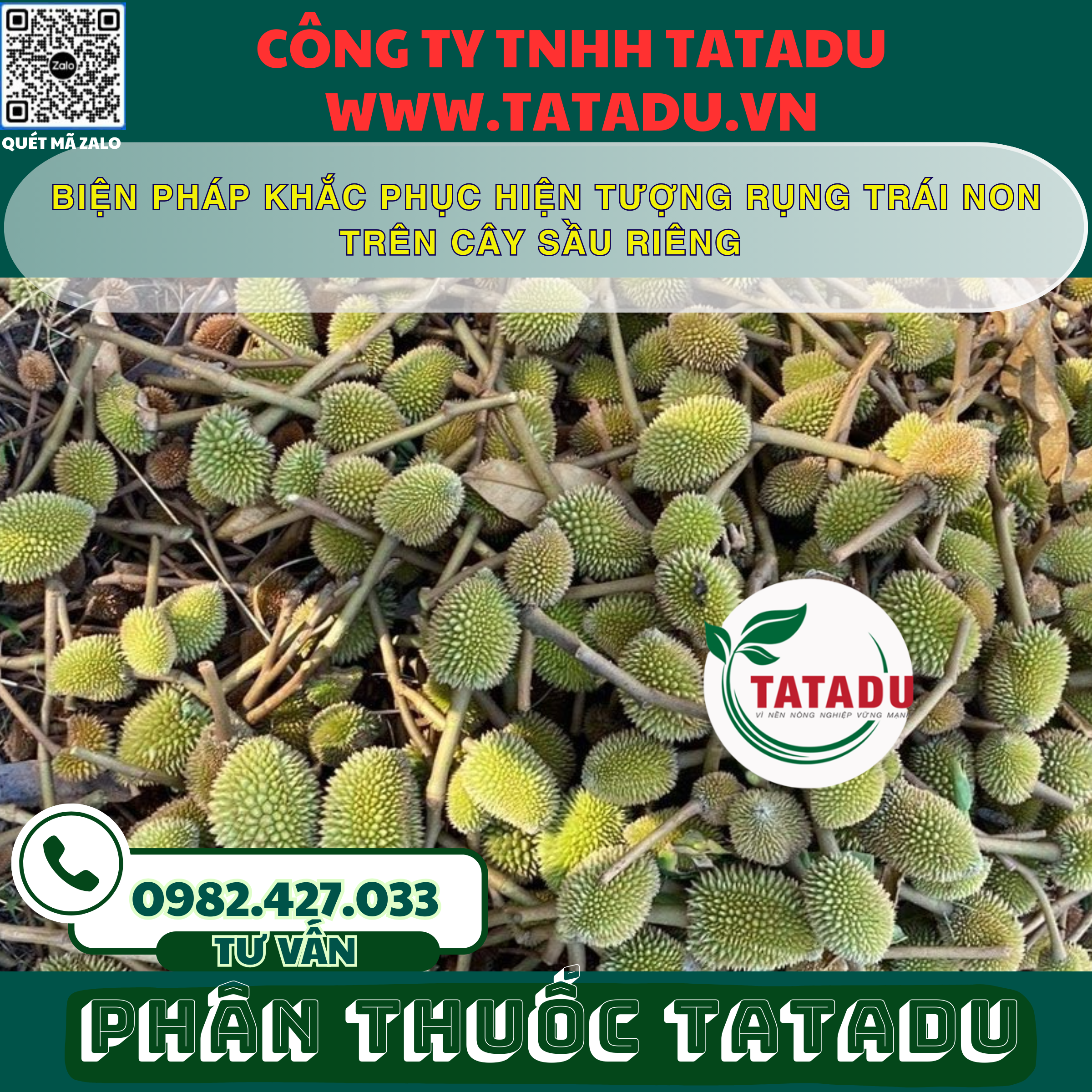 BIEN PHAP KHAC PHUC HIEN TUONG RUNG TRAI NON TREN CAY SAU RIENG