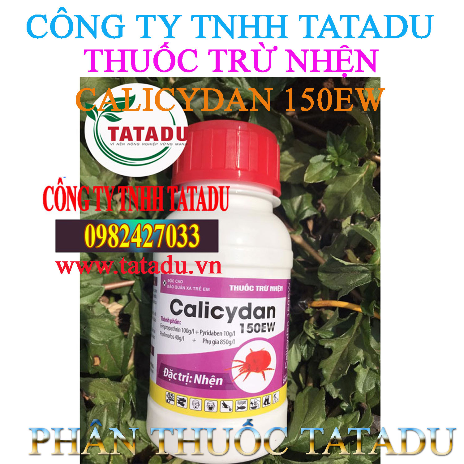CALICYDAN 150EW CHAI 240ML CALICYDAN 150EW CHAI 240ML