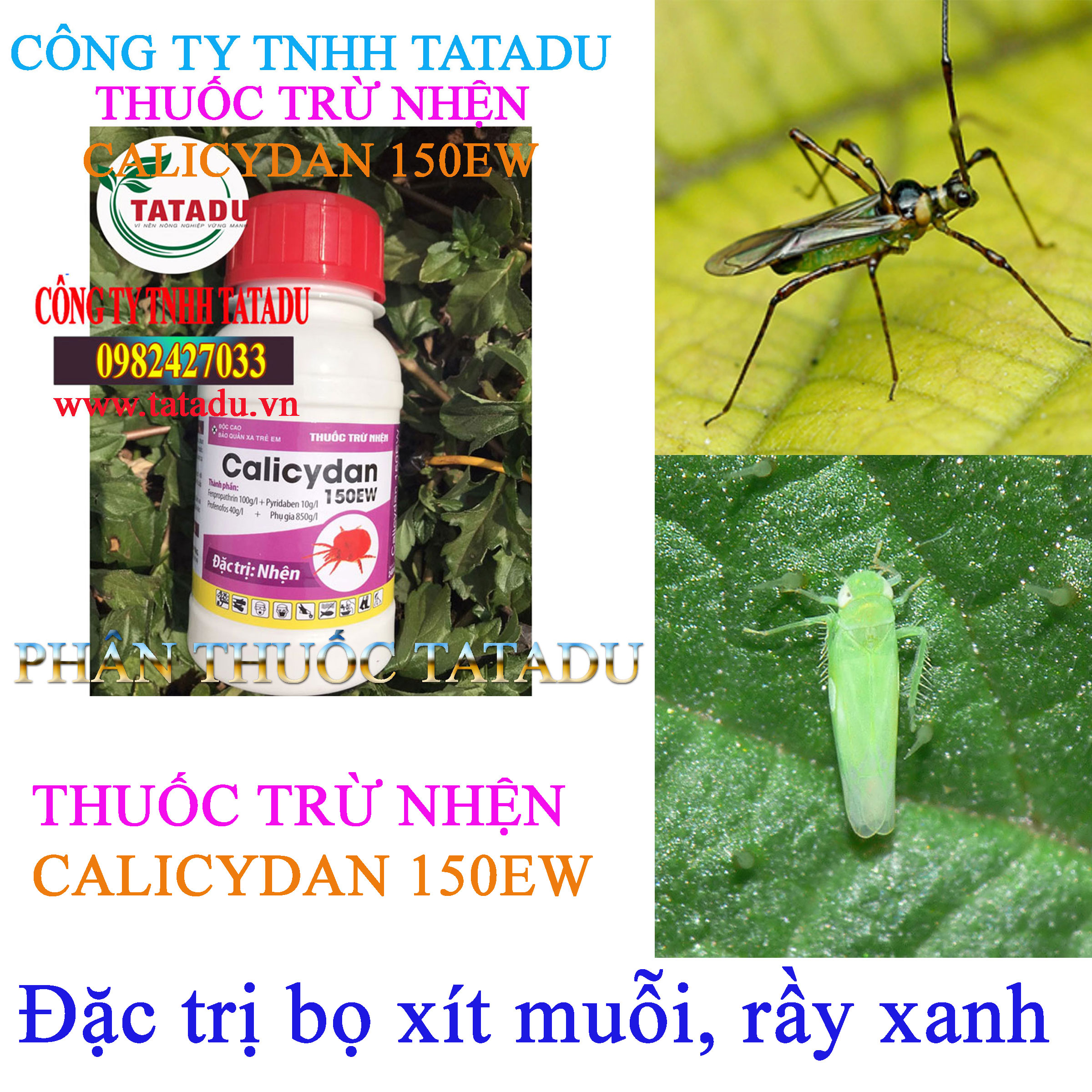 CALICYDAN 150EW tru bo xit muoi CALICYDAN 150EW tru bo xit muoi