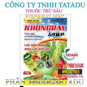 KHONGRAY 54WP 1