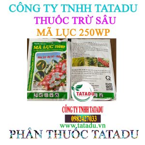 MA LUC 250WP 1