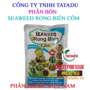 SEAWEED RONG BIEN COM