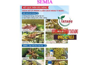 GIAI ĐOẠN XỔ NHỤY, TRÁI NON GẶP MƯA NHIỀU PHẢI LÀM SAO ???