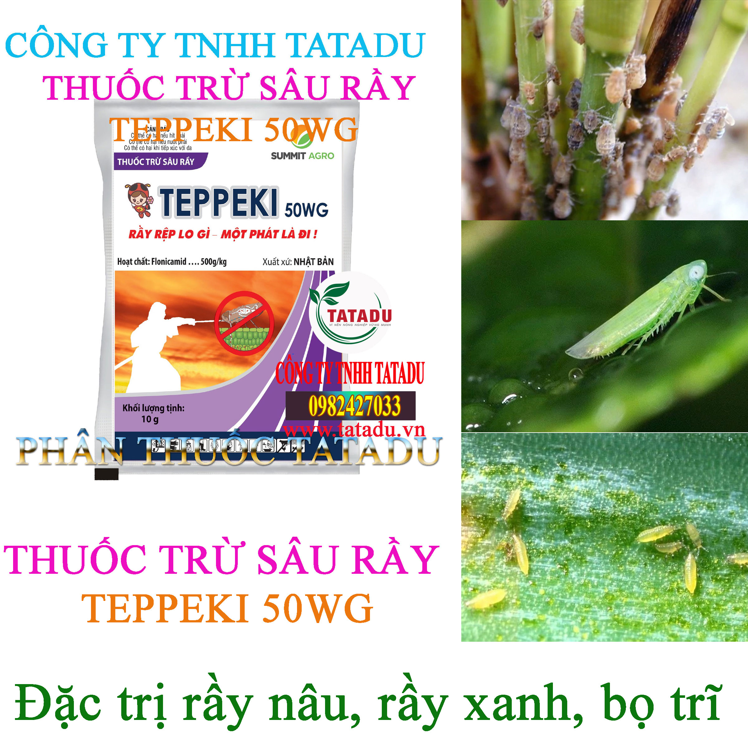 TEPPEKI 50WG tri ray nau TEPPEKI 50WG tri ray nau