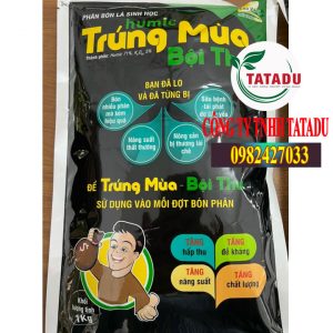 TRUNG MUA BOI THU