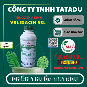 VALIDACIN 5SL