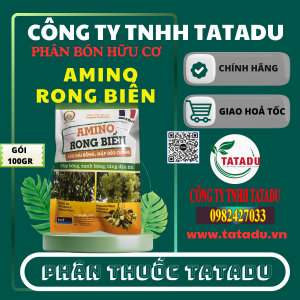 AMINO RONG BIEN