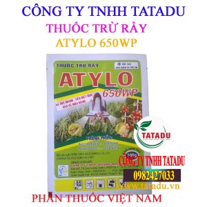 ATYLO 650WP 2