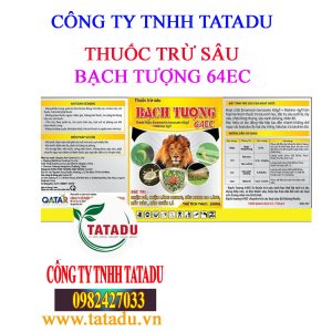 BACH TUONG 64EC 1