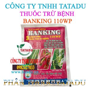 BANKING 110WP 1