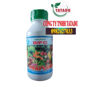 BIFO LON TRAI