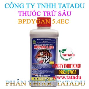 BPDYGAN 5.4EC 2