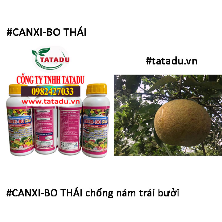 CANXI BO THAI chong nam buoi