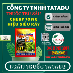 CHERY 70WG HIEU SIEU RAY QUATAR