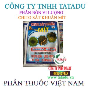 CHITO SAT KHUAN MIT 3