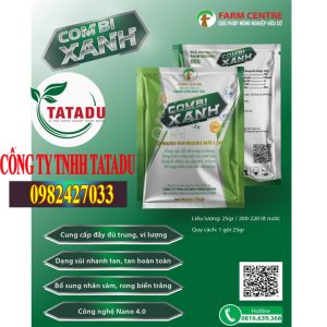 COMBI XANH