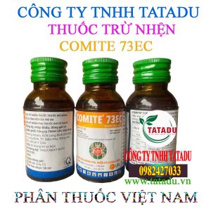 COMITE 73EC UPL