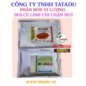 DOLCE LINH CHI CHAN DOT
