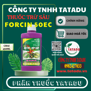 FORCIN 50EC QUATAR