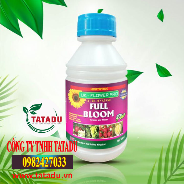 FULL BLOOM