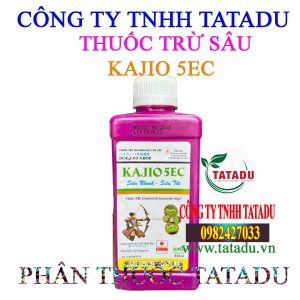 KAJIO 5EC 2