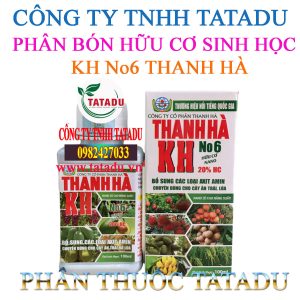 KH No6 THANH HA
