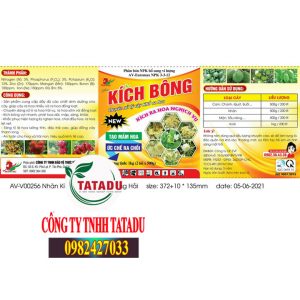 KICH BONG