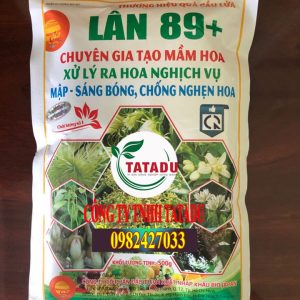 LAN 89