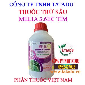 MELIA 3.6EC TIM 2