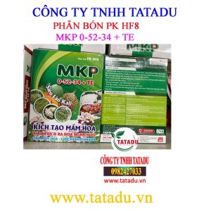 MKP 0 52 34 TE