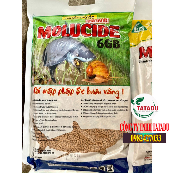 MOLUCIDE 6GB