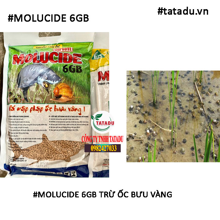 MOLUCIDE 6GB TRU OC BUU VANG