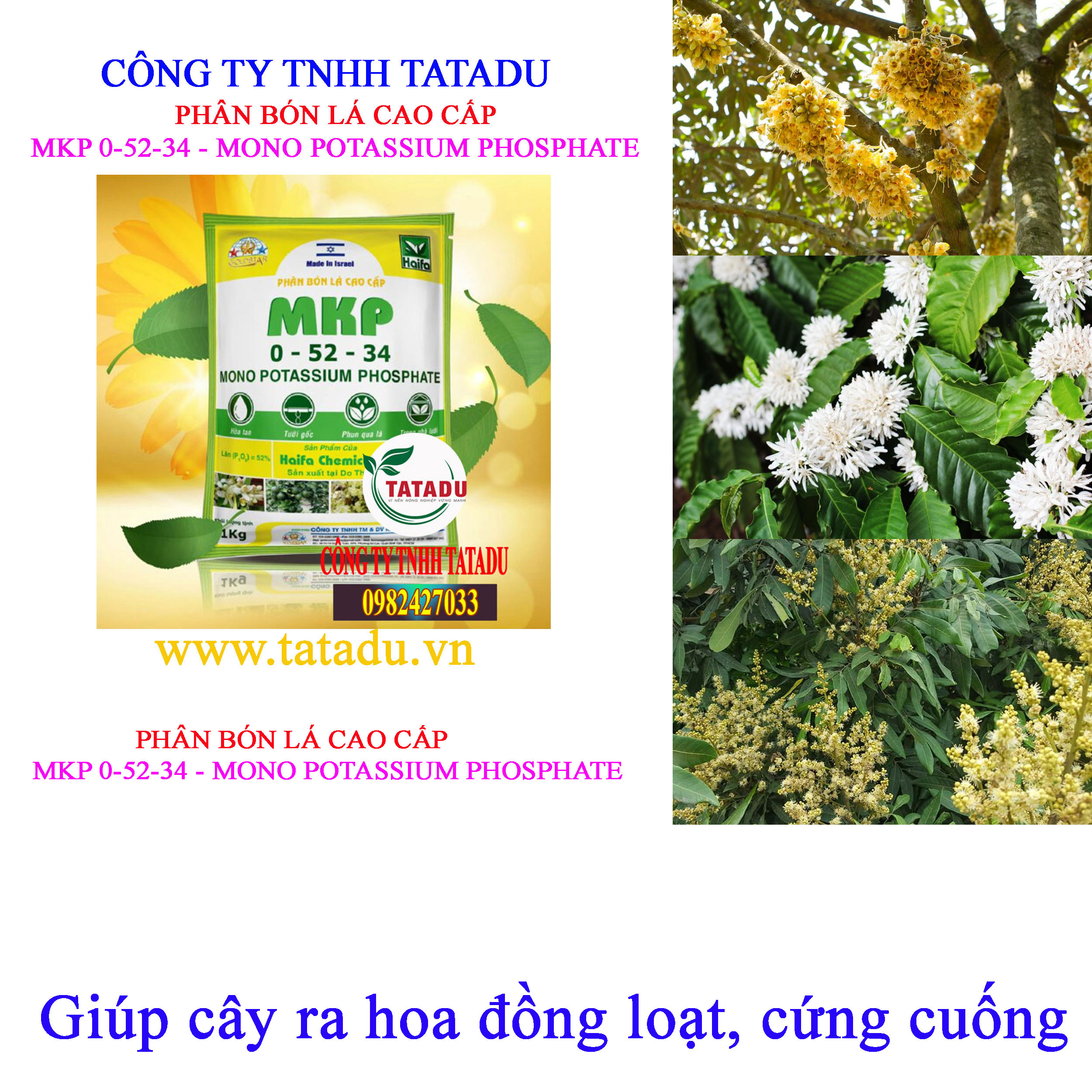 MONO POTASSIUM PHOSPHATE RA HOA MONO POTASSIUM PHOSPHATE RA HOA