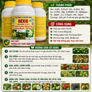 MX6