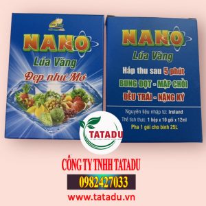 NANO LUA VANG 1