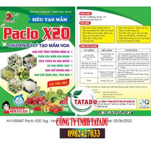 PACLO X20 TAO MAM HOA