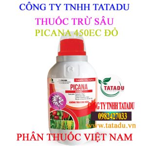 PICANA 450EC DO 2