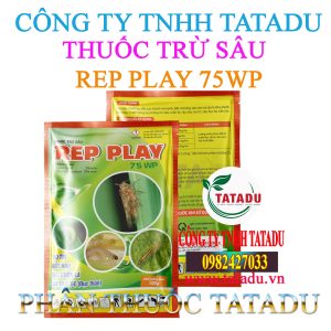 REP PLAY 75WP