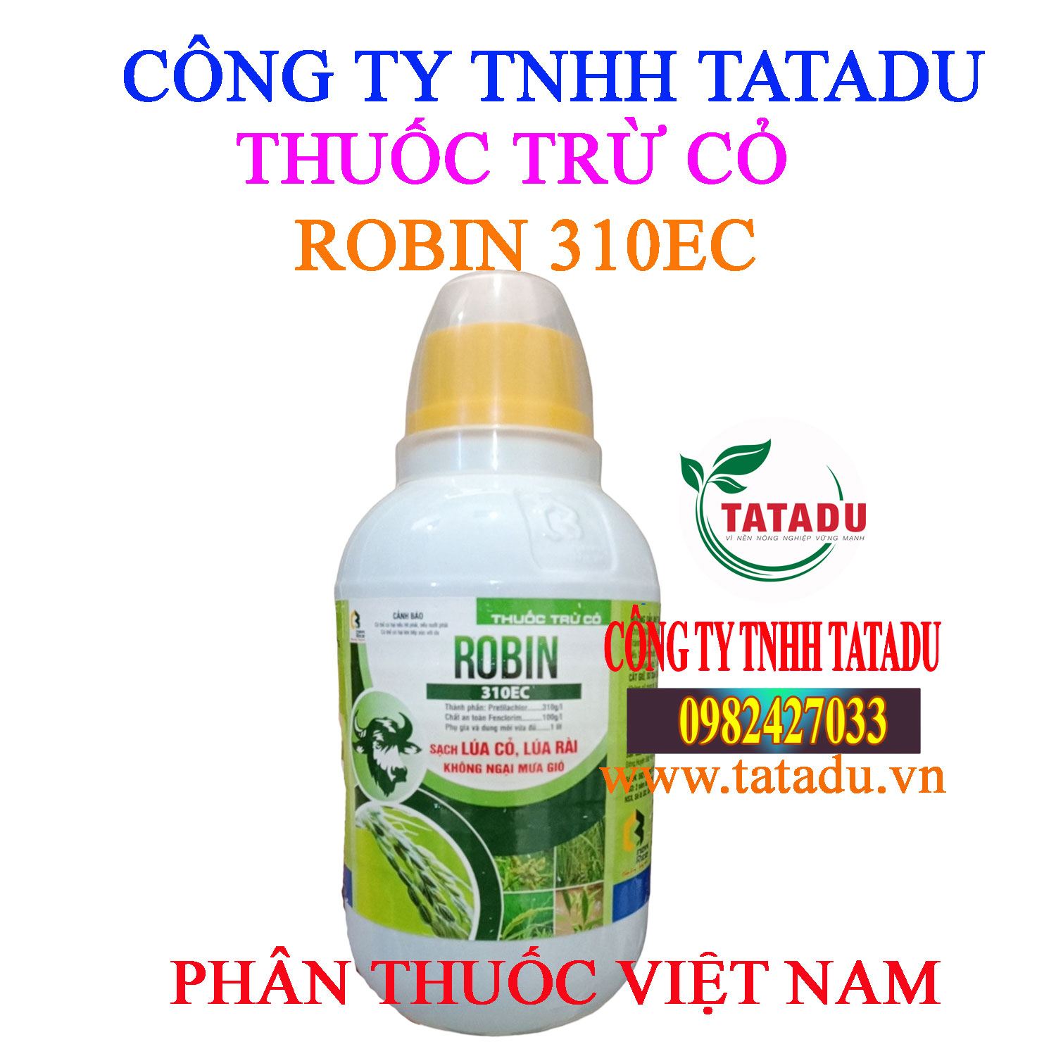 ROBIN 310EC 2