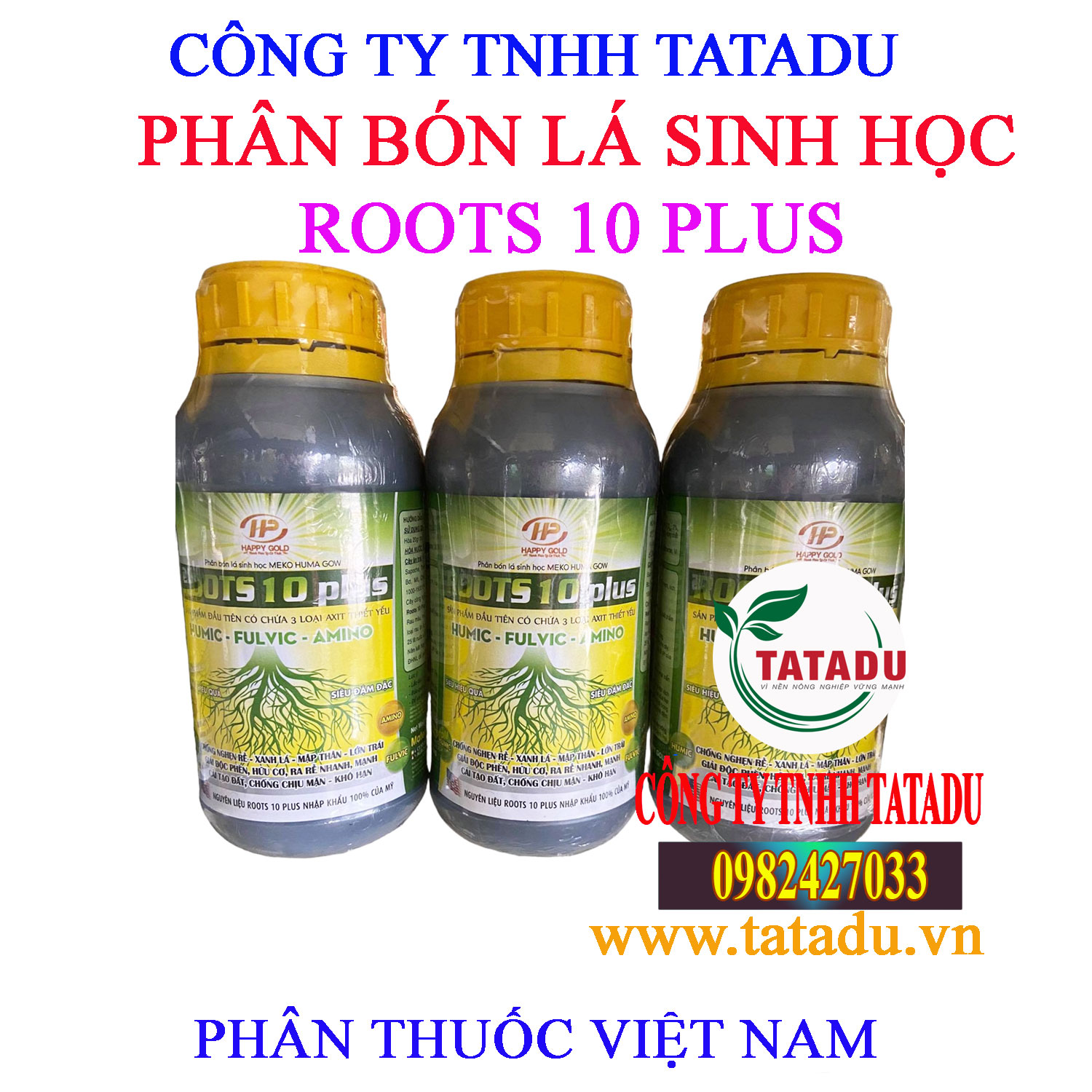 ROOTS 10 PLUS 1