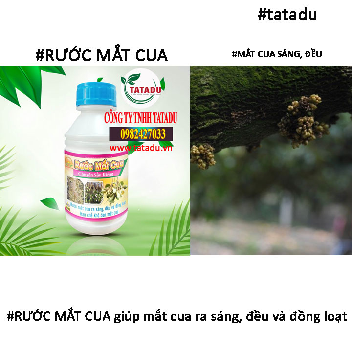 RUOC MAT CUA 1